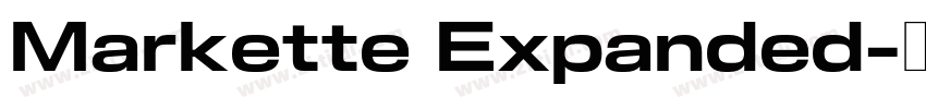 Markette Expanded字体转换 Markette Expanded字体转换